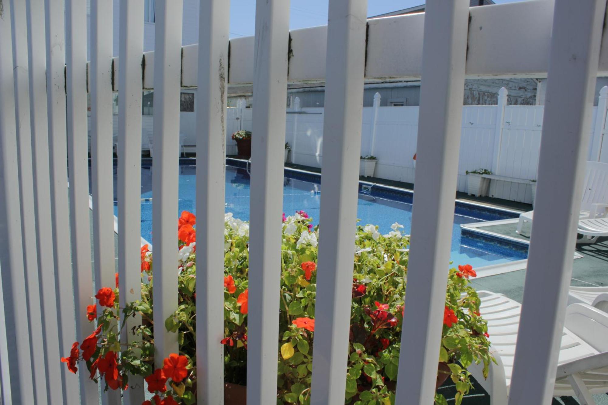 Flagship Motorcourt Motel Hampton Exterior foto